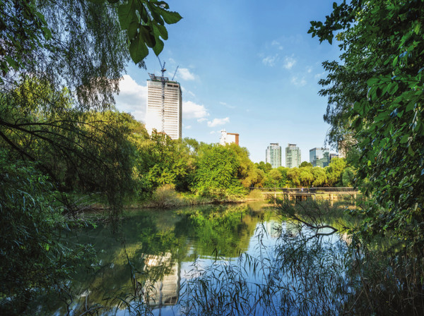 여의도샛강생태공원, 전경, 2023. 사진: 정지현. 국립현대미술관 제작 지원.