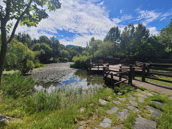 충북 청주 원흥이생태공원 도시숲. 출처=산림청