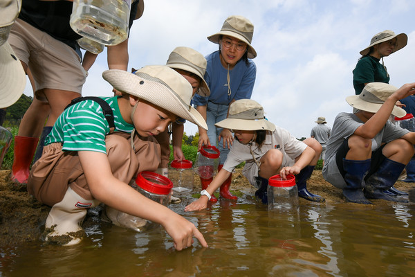 현대모비스가 멸종위기종 복원을 위해 23일 미호종개 방류행사를 개최했다. 현대모비스 임직원과 가족, 지역주민들이 충북 진천군 초평면 미르숲 입구에서 미호종개를 방류하는 모습.  사진=현대모비스
