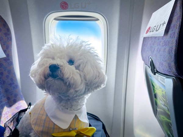 사진=LG유플러스