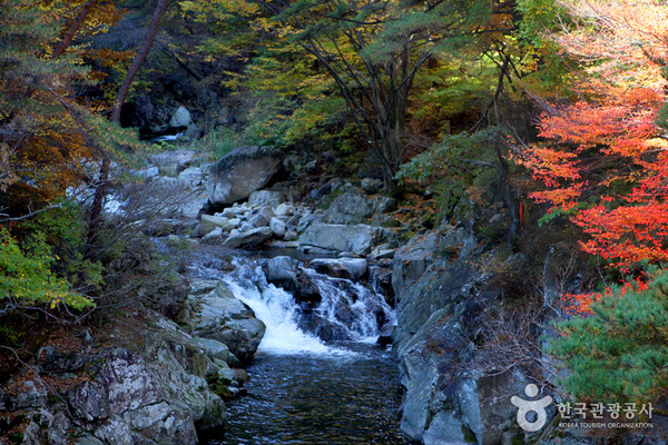 가야산 소리길. 사진제공= 한국관광공사 [가을날, 걷고싶다]