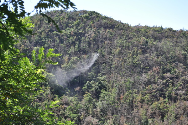 소나무재선충병 드론방제. 출청=산림청