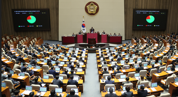 국회 본회의에서 '위헌적 비상계엄 선포를 통한 내란 행위의 진상규명을 위한 특별검사의 수사요구안'이 통과되고 있다. 사진=연합뉴스