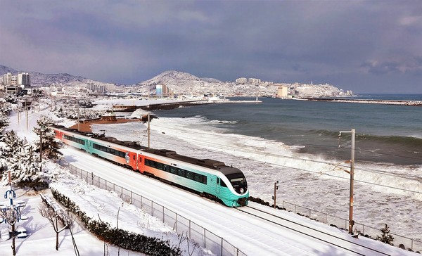 동해산타열차. 사진제공= 코레일