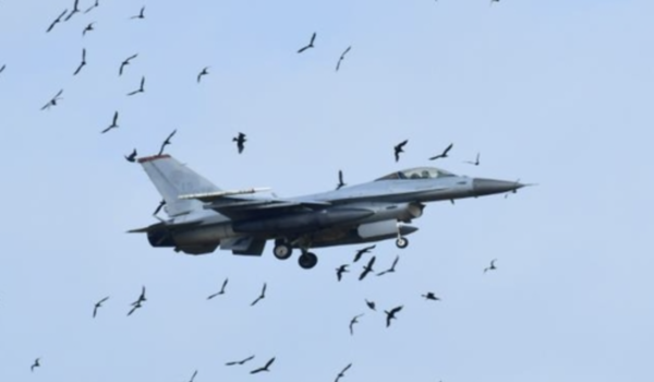 전북 군산시 새만금 수라갯벌 상공에서 군산공항 활주로에 접근하는 F16 전투기가 민물가마우지 대열과 충돌하고 있다. 사진=새만금신공항백지화공동행동 제공