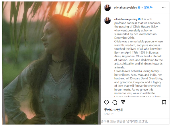 올리비아 핫세 공식 인스타그램