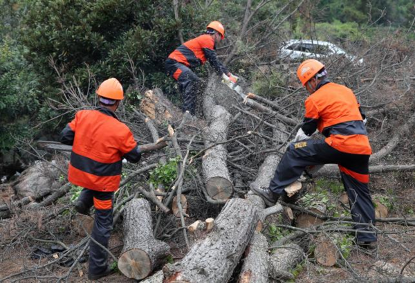 국유림영림단 방제작업 지원 모습. 출처=산림청