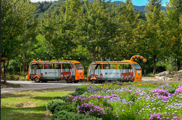 국립백두대간수목원 진입광장 호랑이트램. 출처=국립백두대간수목원