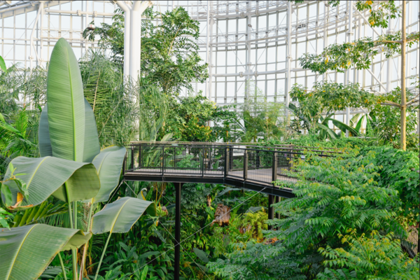 국립세종수목원 열대온실. 출처=국립세종수목원