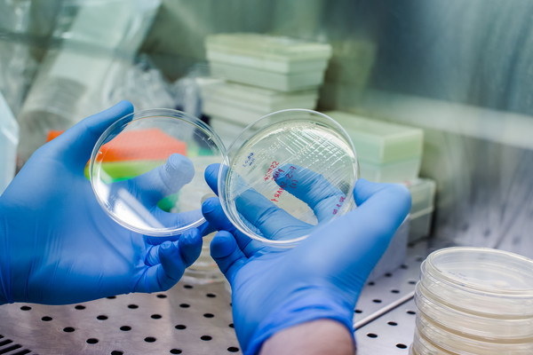 한 연구원이 카티 치료제를 개발하기 위해 임상 시험을 하고 있다. 사진=셔터스톡