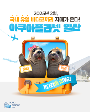 아쿠아플라넷 일산이 한국의 유이한 바다코끼리 ‘바랴’와 ‘메리’의 합사를 기념해 할인 이벤트를 진행한다.