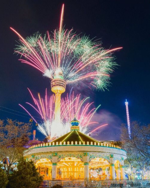 [봄나들이, 꼭 가봐야 할 3월 봄꽃 축제] 대구 이월드 블라썸 피크닉. 사진제공= 한국관광공사