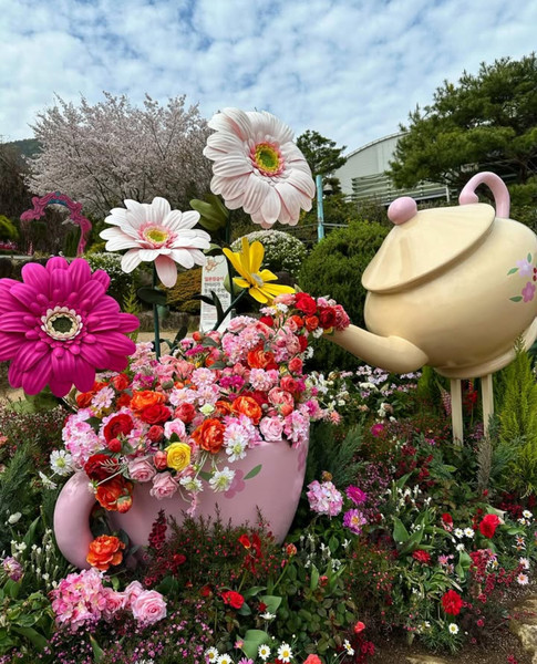 [봄나들이, 꼭 가봐야 할 3월 봄꽃 축제] 대구 네이처파크 플라워페스티벌. 사진제공= 네이처파크 인스타그램