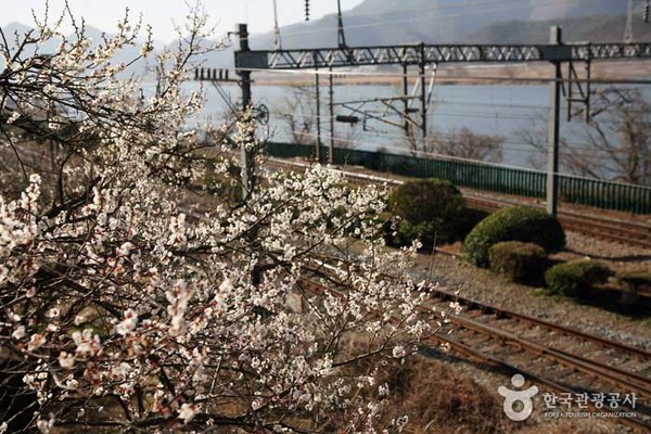 순매원. 사진제공= 한국관광공사