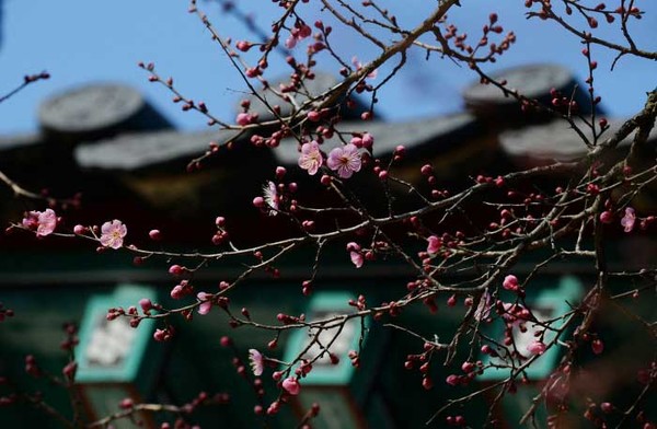 통도사. 사진제공= 양산시청