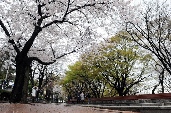 자유공원. 사진제공= 인천 중구청