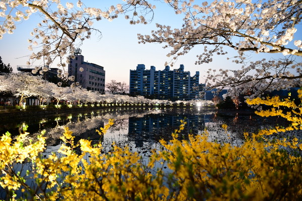 교동 연화지. 사진제공= 한국관광공사