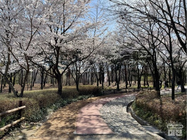 한밭수목원. 사진제공= 대전광역시 공식블로그