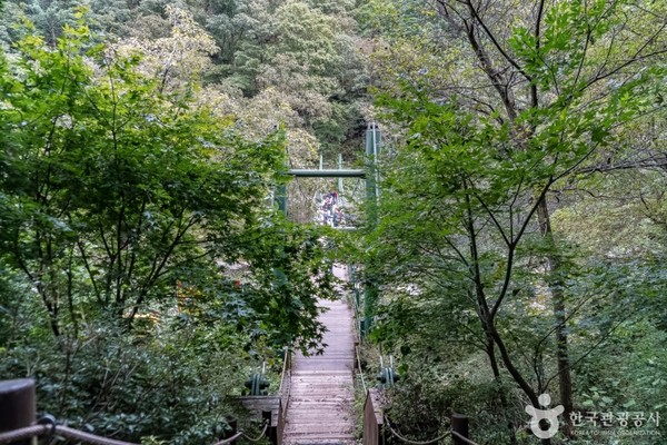 공작산 수타사생태숲. 사진제공= 한국관광공사