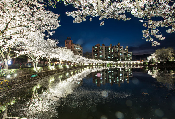 교동 연화지. 사진제공= 한국관광공사