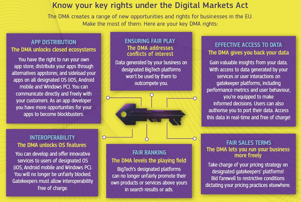 DMA의 특징. 사진=알렉산더 드 스트릴 벨기에 나무르 대학교(University of Namur) 유럽법학 교수