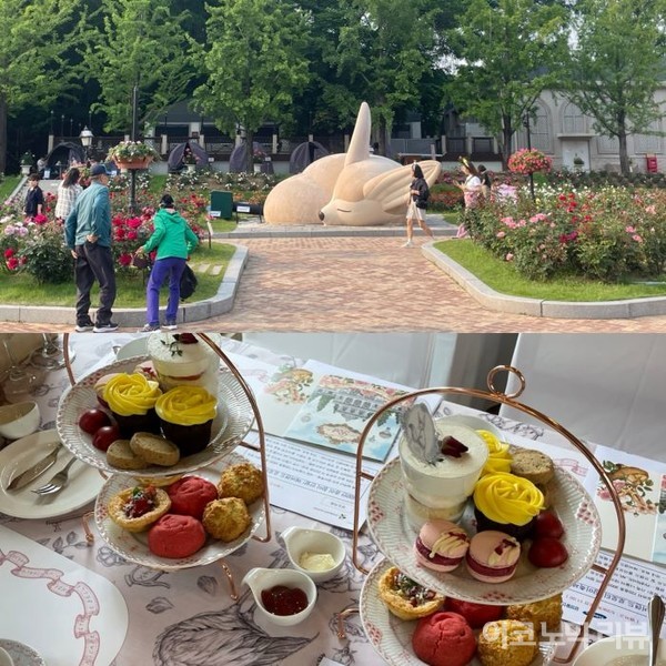 에버랜드 로즈가든을 즐기는 관람객과 로로티 장미축제에 맞춰 선보이는 애프터눈 티 세트. 사진=서다예 기자