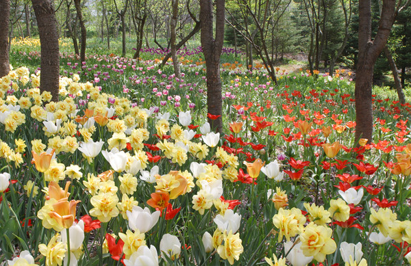 한택식물원. 사진제공= 한택식물원 홈페이지