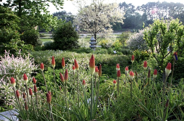 천리포수목원. 사진제공= 천리포수목원 홈페이지