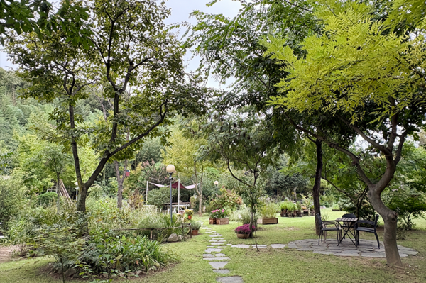 카페 야생화일기. 사진제공= 한국수목원정원관리원