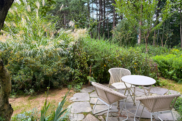 카페 야생화일기. 사진제공= 한국수목원정원관리원