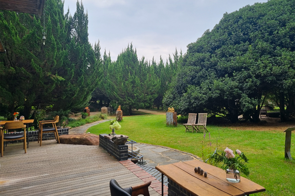 천개의 향나무숲. 사진제공= 한국수목원정원관리원