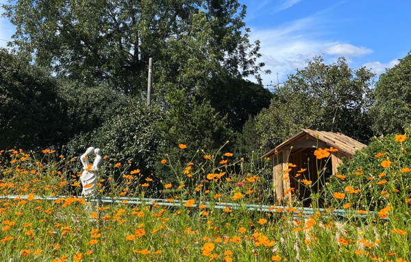 천개의 향나무숲. 사진제공= 천개의 향나무숲 홈페이지