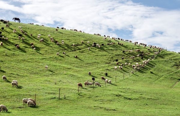 여행이지 몽골 패키지 이미지. 사진=교원투어