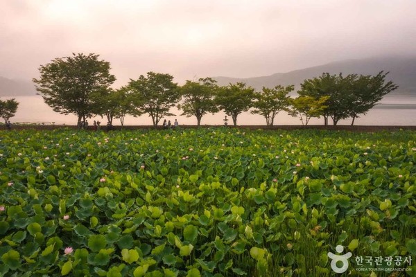 양평 세미원. 사진제공= 한국관광공사