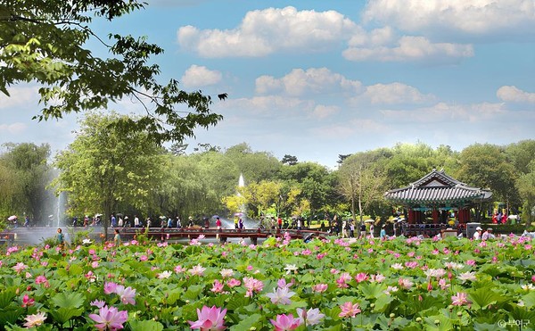 부여 궁남지. 사진제공= 부여군