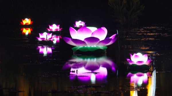 부여 궁남지. 사진제공= 부여군