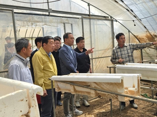 이찬우(오른쪽 세번째) NH농협금융지주 회장이 충남 홍성군 집중호우 피해 현장을 점검하고 있다. 사진=NH농협금융지주.