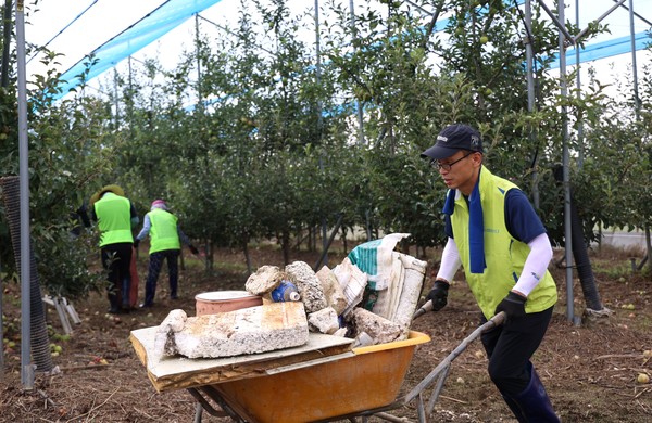 NH농협생명은 23일, 최근 집중호우로 큰 피해를 입은 충남 아산시를 찾아 수해복구를 위한 일손돕기 활동을 펼쳤다.  NH농협생명 김기동 부사장이 과수원 침수 잔해물을 정리하는 모습. 사진제공=NH농협생명