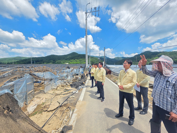  임광현 국세청장은 25일 호우피해를 입은 경남 산청군 신안면 영농조합법인 등을 방문해 피해현황을 점검하고 현장의견을 청취했다. 출처=국세청