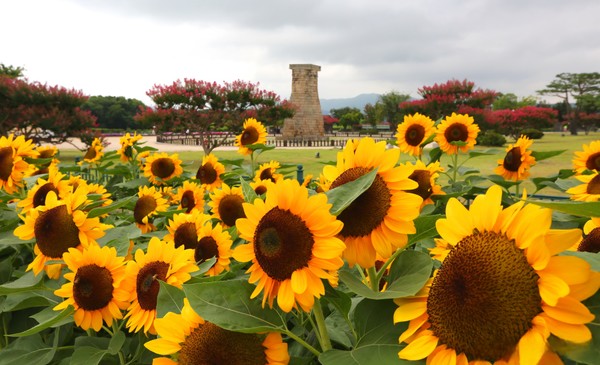 경주 첨성대. 사진제공= 경주시