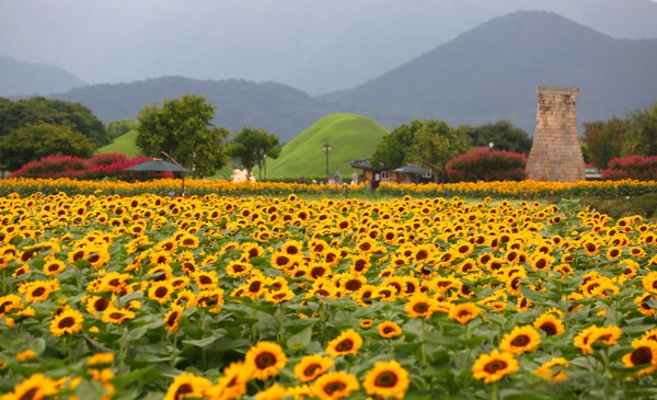 경주 첨성대. 사진제공= 경주시