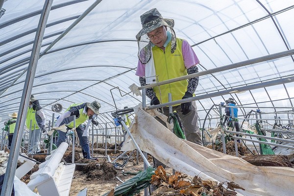 이찬우 NH농협금융지주 회장이 7월 24일 충남 홍성군 한 딸기 재배 비닐하우스에서 폐기물을 정리하고 있다. 사진=농협금융