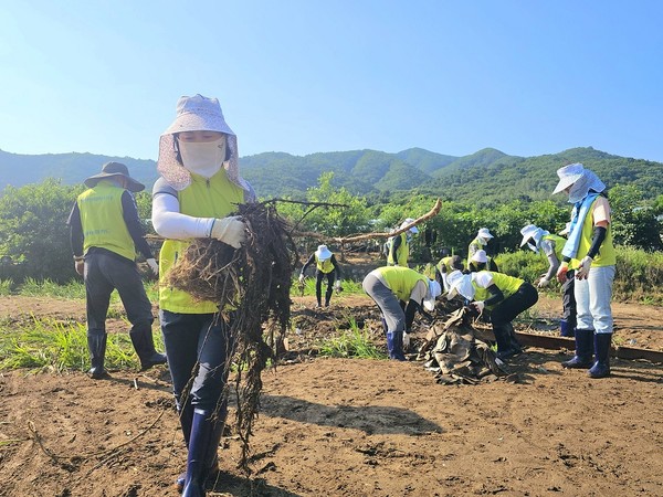 NH농협카드 이민경 사장과 임직원들이 수해복구 봉사활동을 실시하고 있다. 출처=NH농협카드
