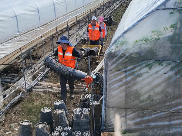 경기도 가평 상면의 수해 피해 농가를 찾아 비닐하우스 복구 작업에 참여한 모습.