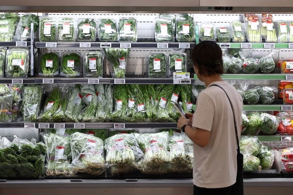 지난 달 27일 서울 한 대형마트에 여러 종류의 채소가 진열돼 있다. 사진=연합뉴스