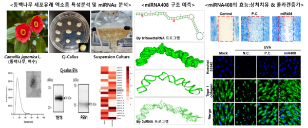 사진=지에프씨생명과학.