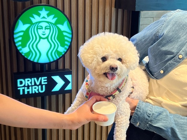 스타벅스 구리갈매DT점에서 '퍼푸치노'를 즐기는 반려견과 고객. 사진=스타벅스코리아