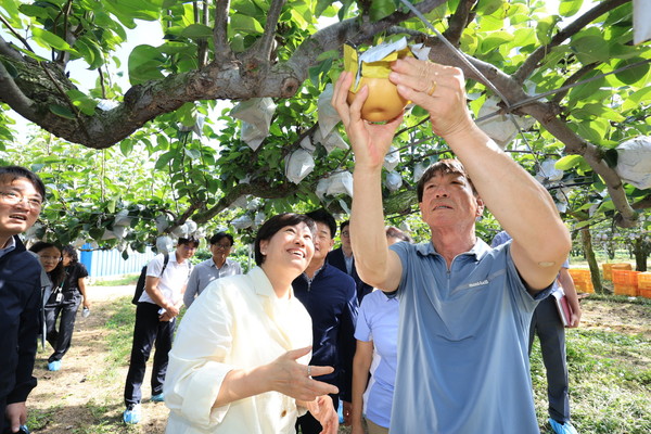 송미령 농림축산식품부 장관은 11일 충남 아산시 둔포면 소재 배 생산농가와 아산원예농협 과수거점 산지유통센터를 방문해 생육 및 수급상황을 점검했다. 출처=농식품부