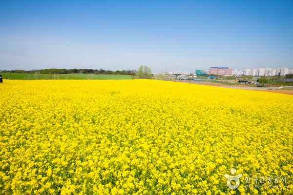 안성팜랜드. 사진제공= 한국관광공사