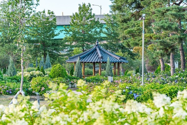구리한강시민공원(코스모스공원). 사진제공= 한국관광공사